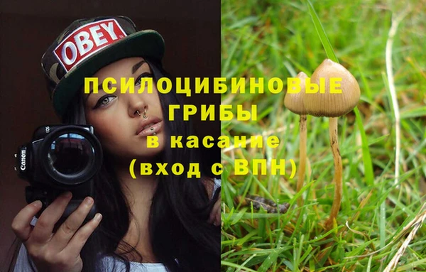 метадон Армянск