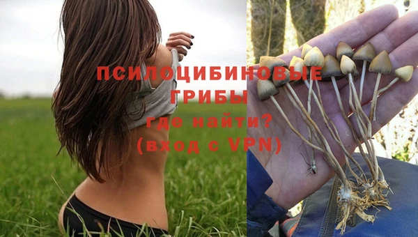 метадон Армянск